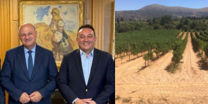 Κώστας Βλάσης: Πολύ καλά τα νέα για τους αμπελουργούς της Αρκαδίας μας!