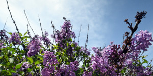 Τρίπολη: Ο καιρός σήμερα, 10 Δεκεμβρίου 2025