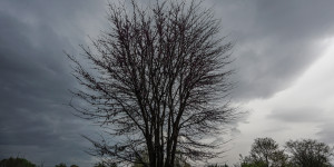 Τρίπολη: Ο καιρός σήμερα, 1 Ιανουαρίου