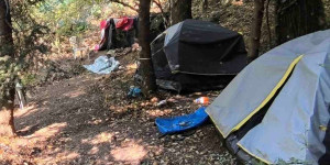 Φυτεία 1.828 δενδρυλλίων κάνναβης εντοπίσθηκε στη Λακωνία-Πάνω από 3,5 εκατ.€ τα προσδοκώμενα κέρδη!