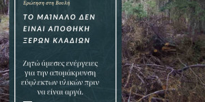 Αντανακλαστικά Κωνσταντινόπουλου: στη Βουλή τα ξερά κλαδιά στο Μαίναλο