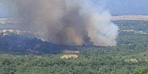 Αρκαδία: Φωτιά στην περιοχή Βελιγοστή (vid)