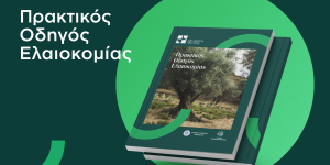 Διαθέσιμος δωρεάν ο Πρακτικός Οδηγός Ελαιοκομίας–Πολύτιμο εργαλείο για τους ελαιοκαλλιεργητές!