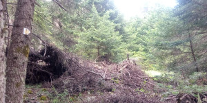 ΕΟΣ Τρίπολης: Το Μαίναλο κινδυνεύει να πάρει φωτιά...