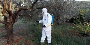 Πού συνεχίζονται στην Αρκαδία τις επόμενες ημέρες οι δολωματικοί ψεκασμοί