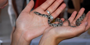 Τα άγνωστα έθιμα του Δεκαπενταύγουστου