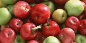 Δωρεάν διανομή φρούτων σε ευπαθείς ομάδες του δήμου Μεγαλόπολης