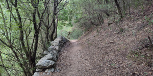 Με τους Σπηλαιολόγους-Ορειβάτες Κυνουρίας στο Φαράγγι του Λούσιου