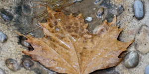 Με τι καιρό θα γιορτάσουμε εφέτος τα Χριστούγεννα
