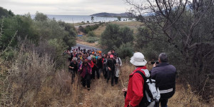 ΣΑΟΟ: Να αποτραπεί η εγκατάσταση του αιολικού πάρκου που σχεδιάζεται στη Ζάβιτσα