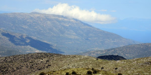 ΣΑΟΟ: Το Σάββατο η πεζοπορία διαμαρτυρίας ενάντια στην εγκατάσταση ΑΠΕ στη Ζάβιτσα