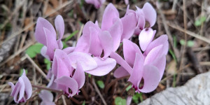 Τρίτοι σε δράση: Εκείνο το πρωινό του Οκτώβρη του '40 ξυπνήσαμε απ' τις καμπάνες!