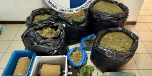 Πάνω από 57 κιλά κάνναβης και 12 δενδρύλλια κάνναβης κατασχέθηκαν στη Μεσσηνία
