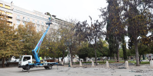 Από το Χρυσοβίτσι το Χριστουγεννιάτικο Δέντρο της Πλατείας Συντάγματος