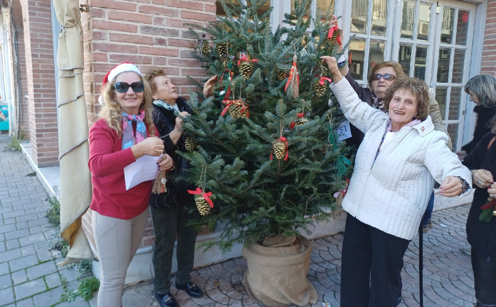 Δελτίο Τύπου