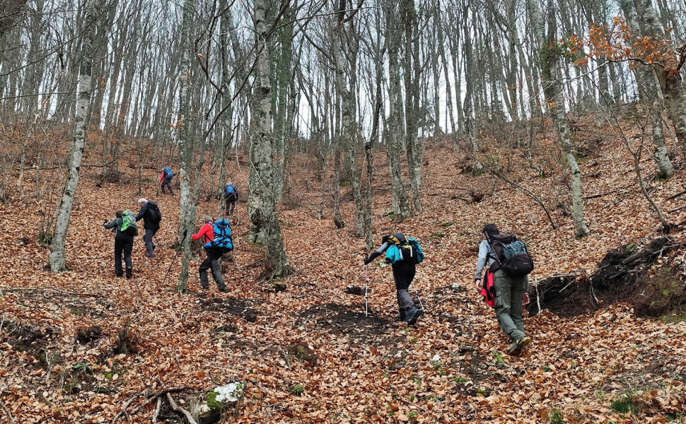 Δελτίο Τύπου