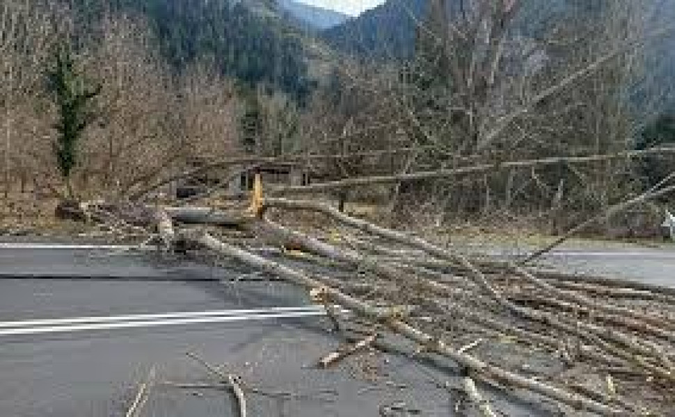 Δελτίο Τύπου