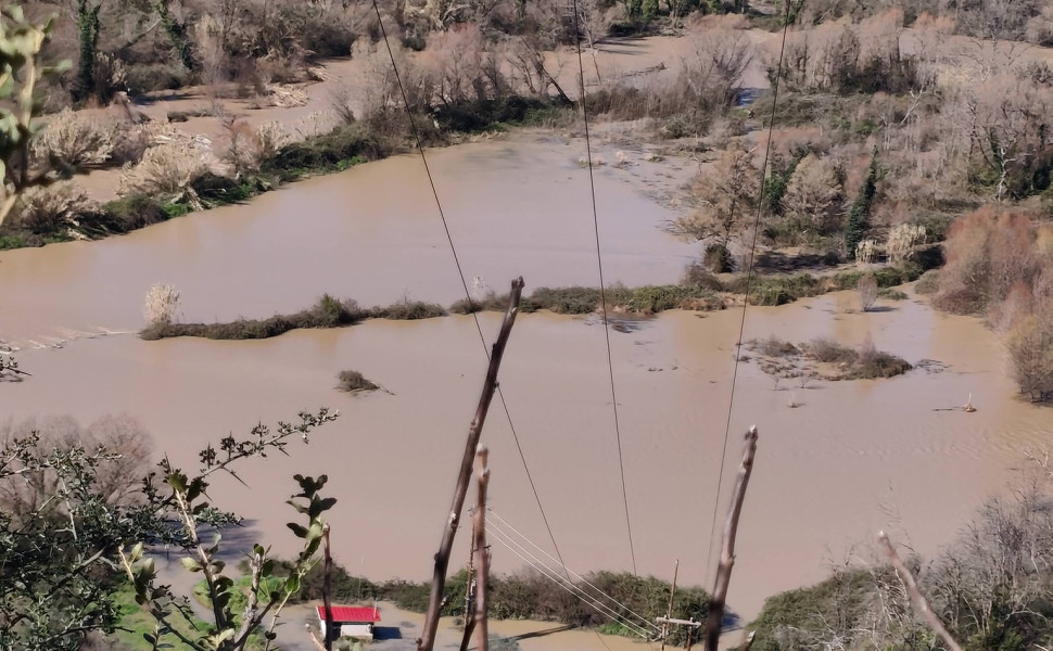 Δελτίο Τύπου
