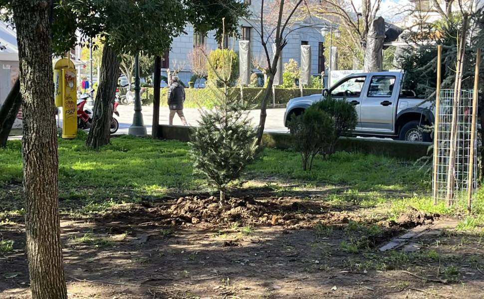 Δελτίο Τύπου