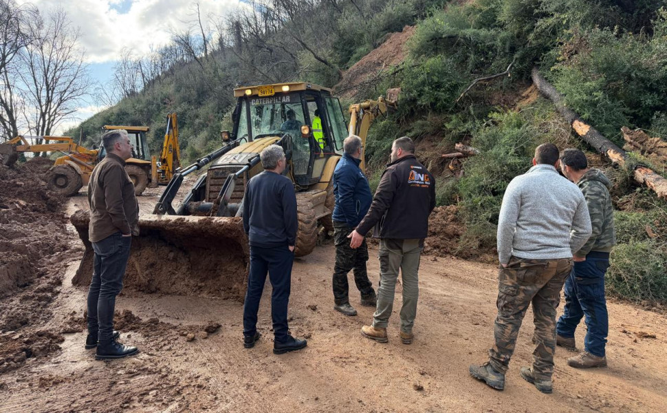 Δελτίο Τύπου