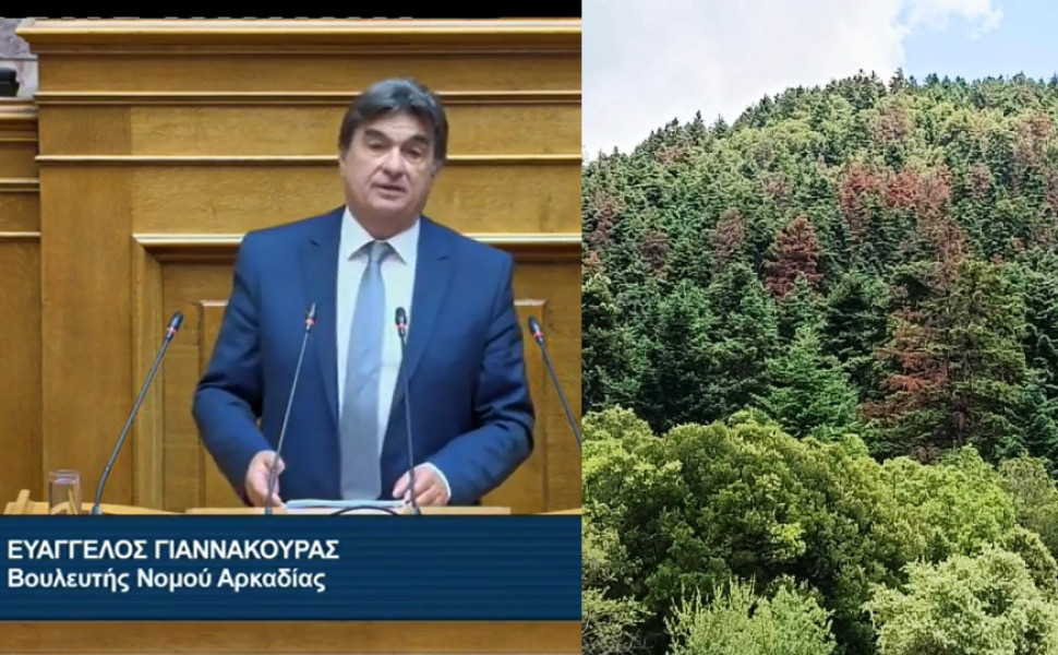 Δελτίο Τύπου