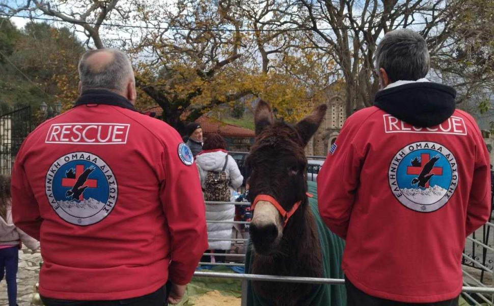 Δελτίο Τύπου