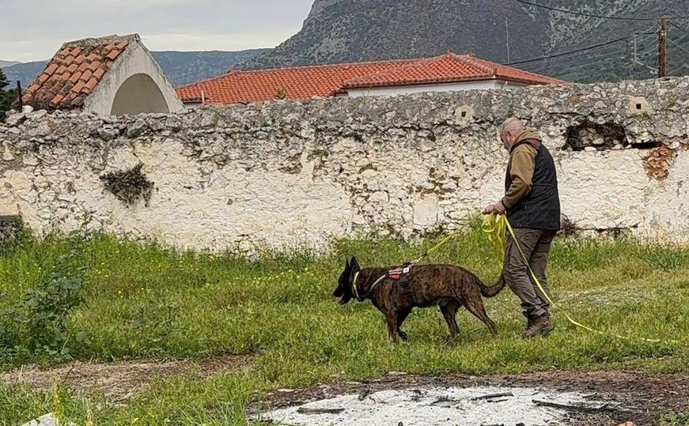 Δελτίο Τύπου