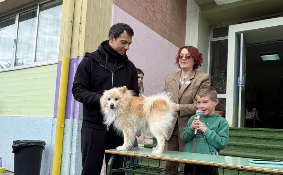 Δελτίο Τύπου - 
1ο Δημοτικό Σχολείο Τρίπολης