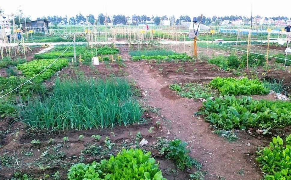 Δελτίου Τύπου / Δήμος Τρίπολης