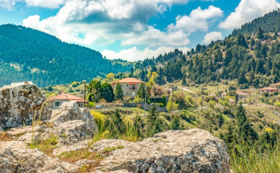 Δελτίο Τύπου