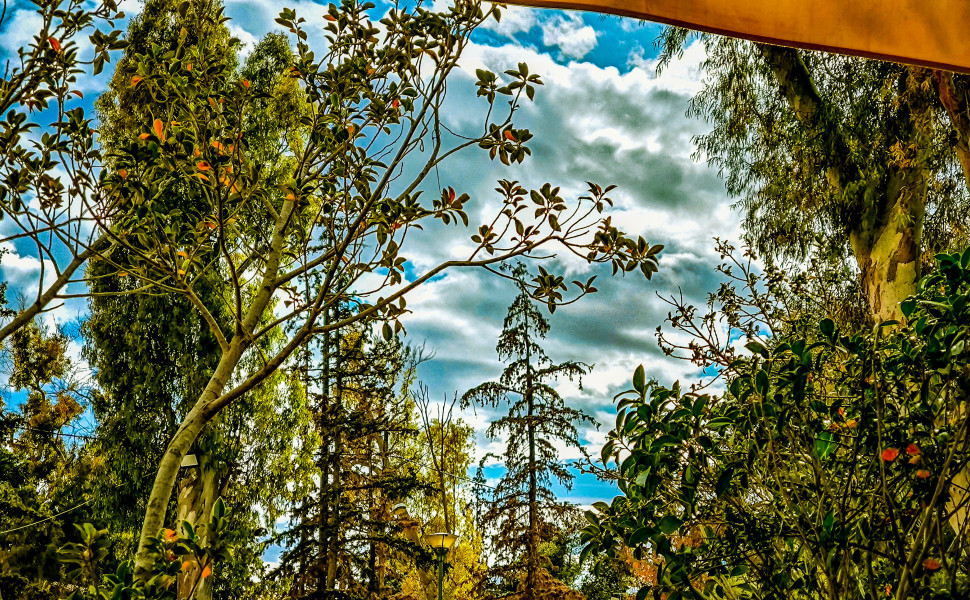 ΓΙΩΡΓΟΣ ΚΟΝΤΑΡΙΝΗΣ/EUROKINISSI