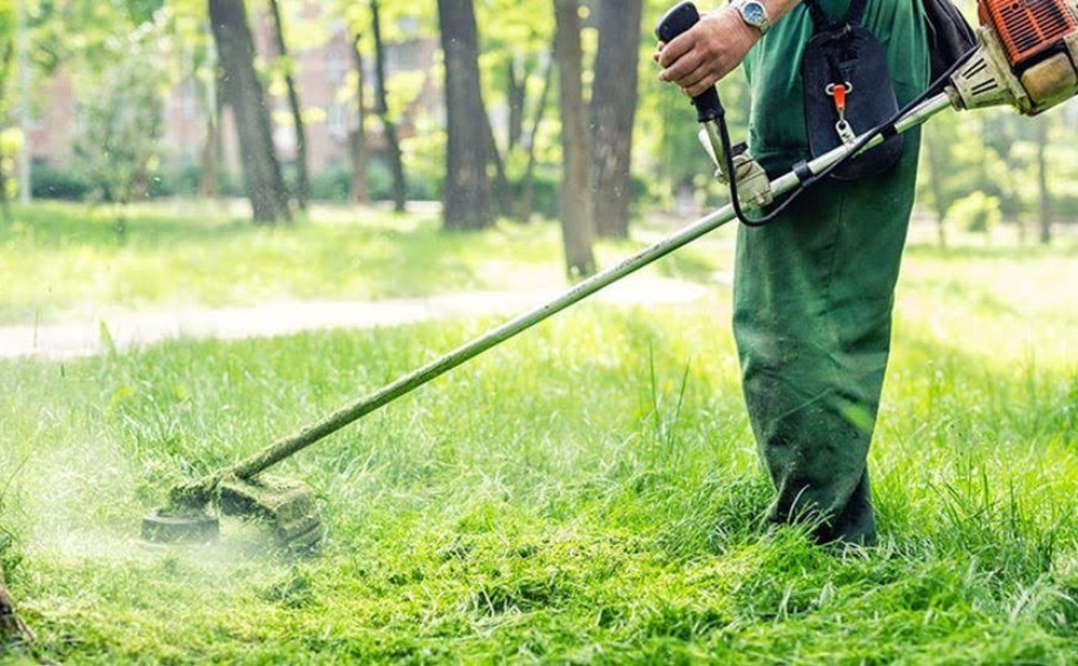 Δελτίου Τύπου / Δήμος Μεγαλόπολης