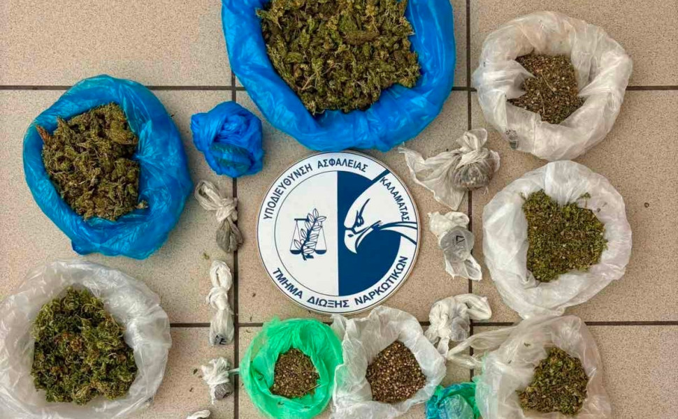 Δελτίο Τ΄΄ύπου