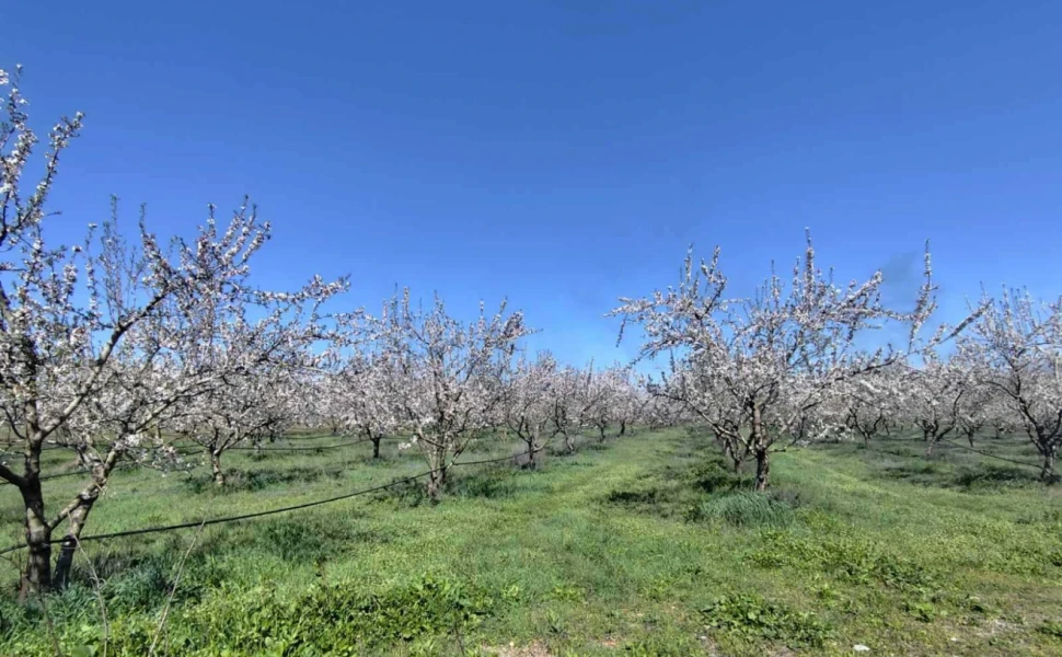 Δελτίο Τύπου