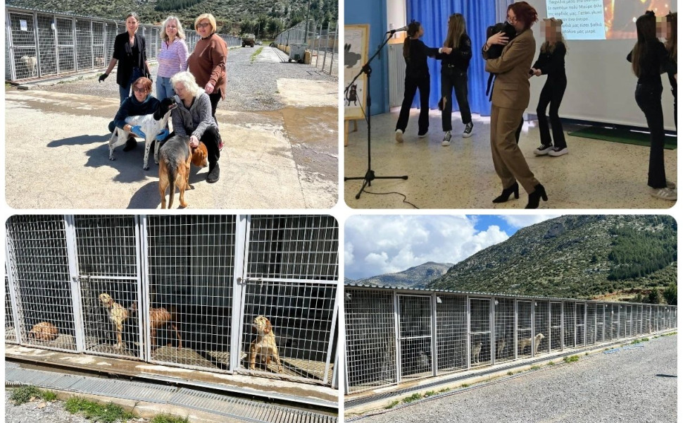 Δελτίου Τύπου / Δήμος Τρίπολης