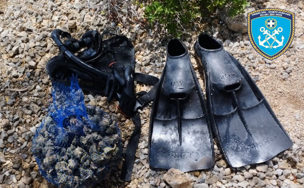 Δελτίο Τύπου