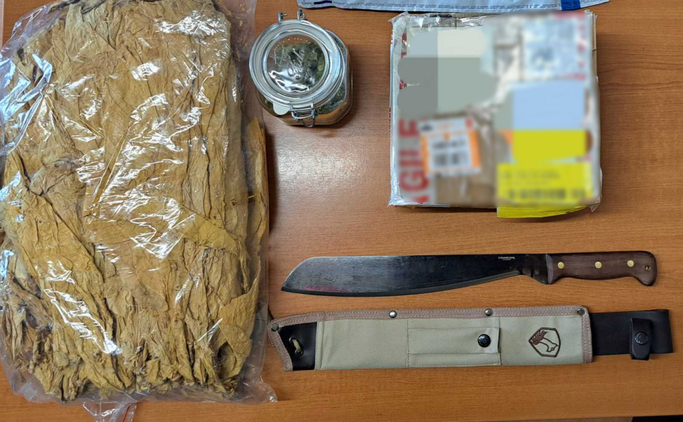 Δελτίο Τύπου