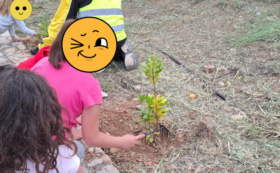 Δελτίο Τύπου