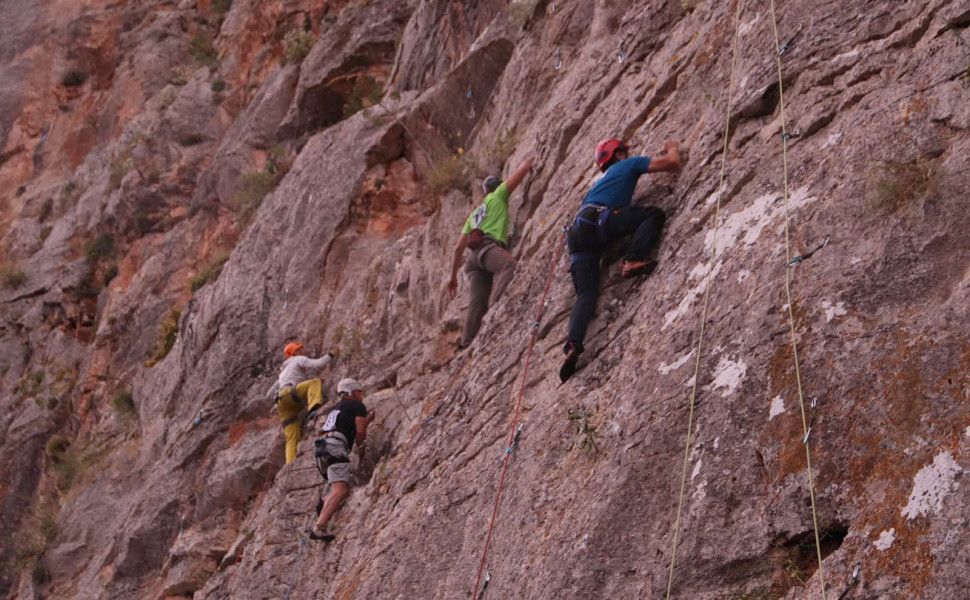 Δελτίο Τύπου