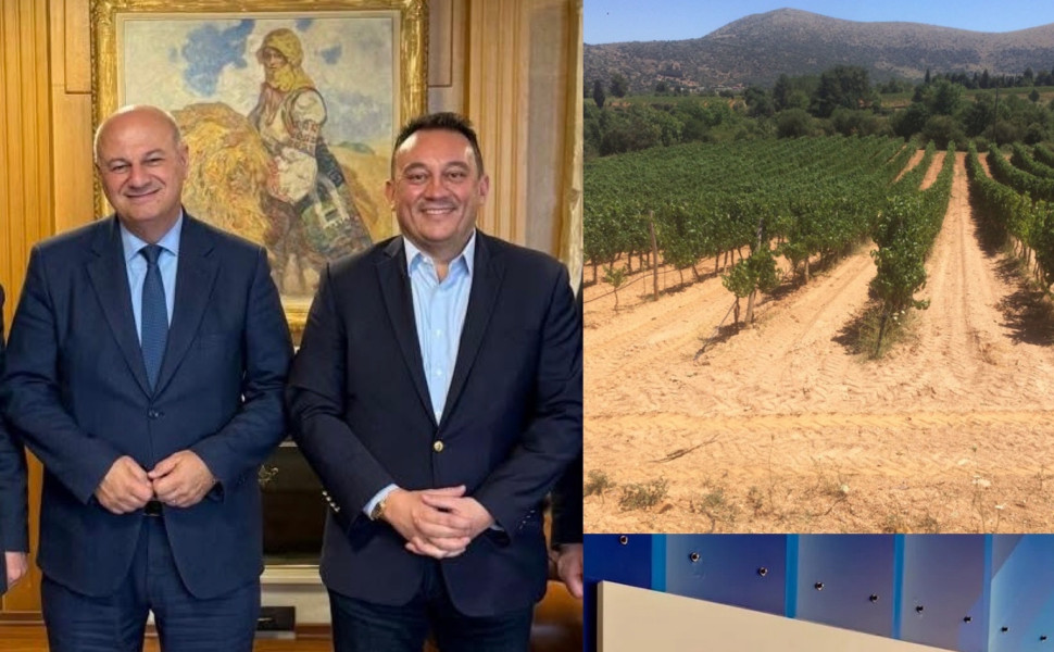 Δελτίο Τύπου