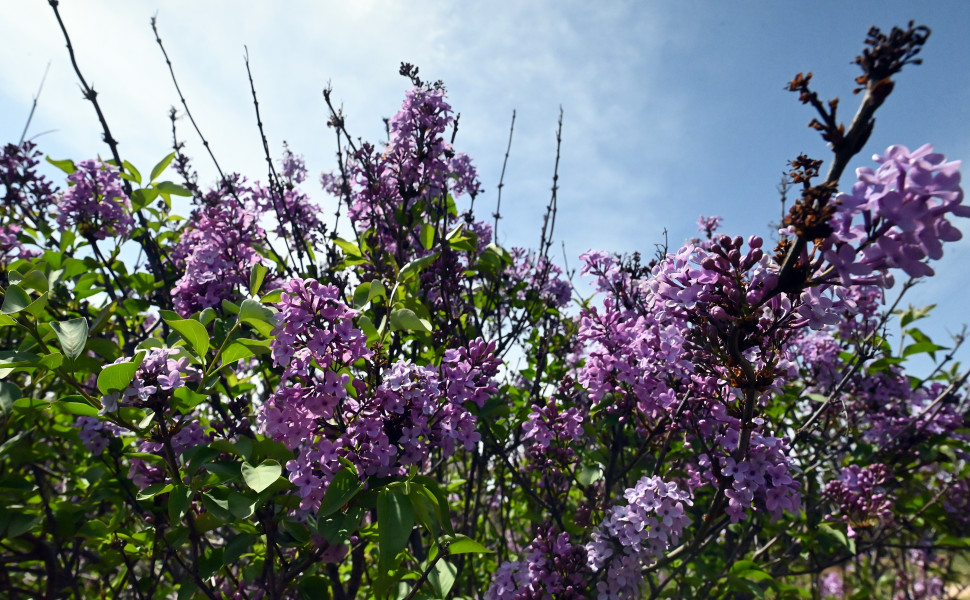 ΒΑΣΙΛΗΣ ΠΑΠΑΔΟΠΟΥΛΟΣ/EUROKINISSI
