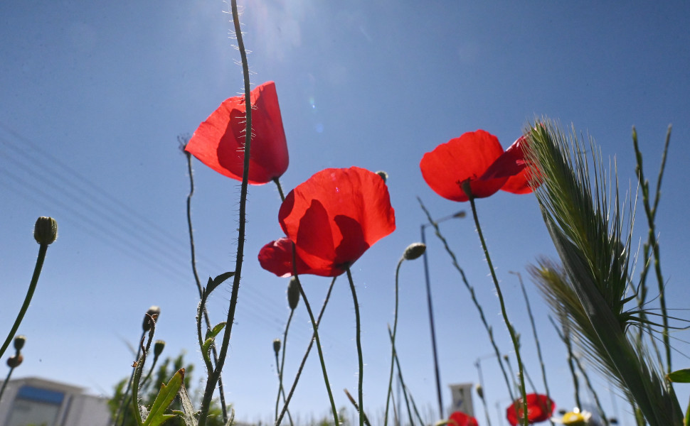 ΒΑΣΙΛΗΣ ΠΑΠΑΔΟΠΟΥΛΟΣ / EUROKINISSI