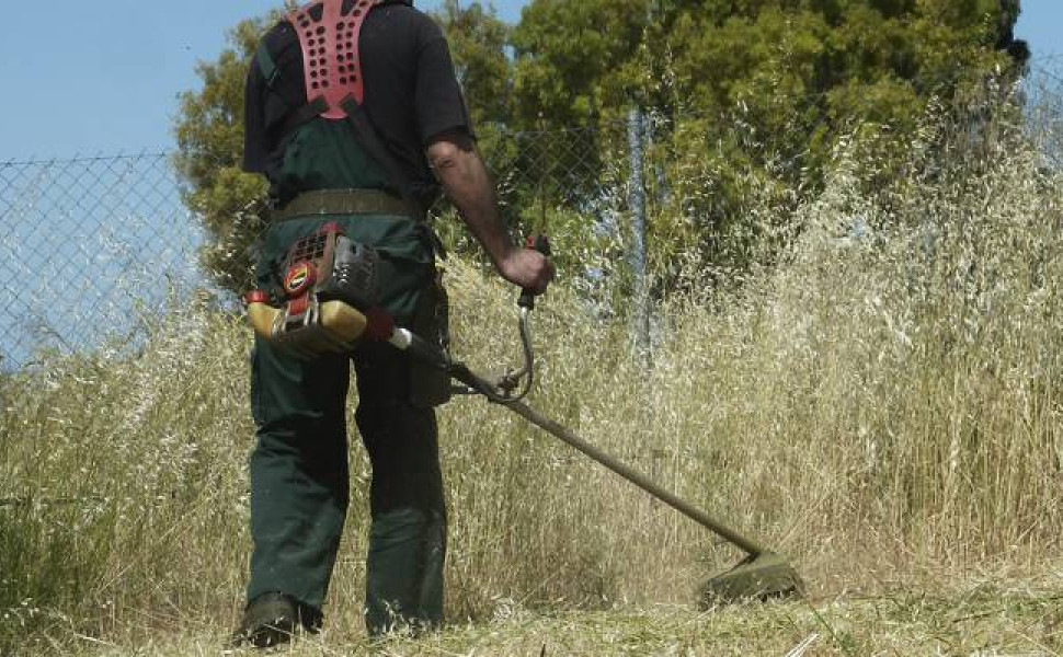 Δήμος Γορτυνίας
