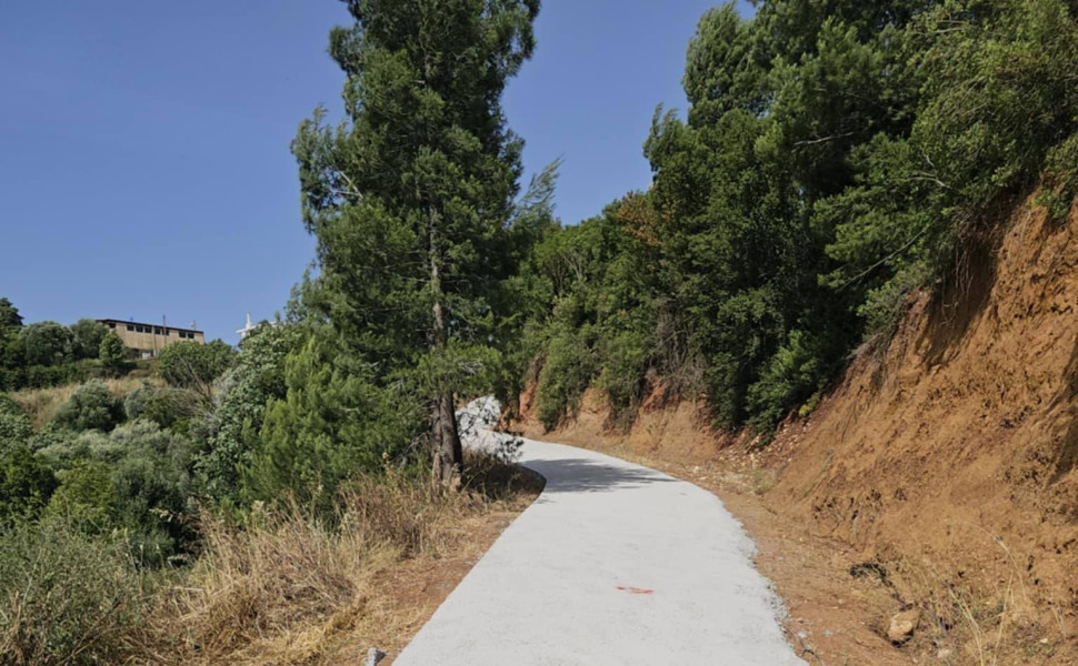 Δελτίο Τύπου