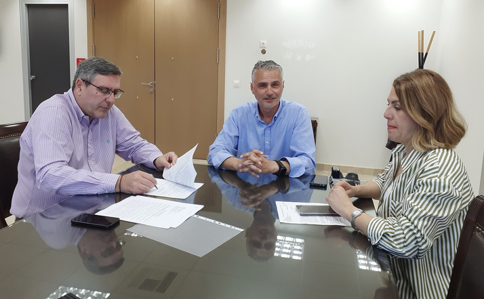 Δελτίο Τ΄ύπου