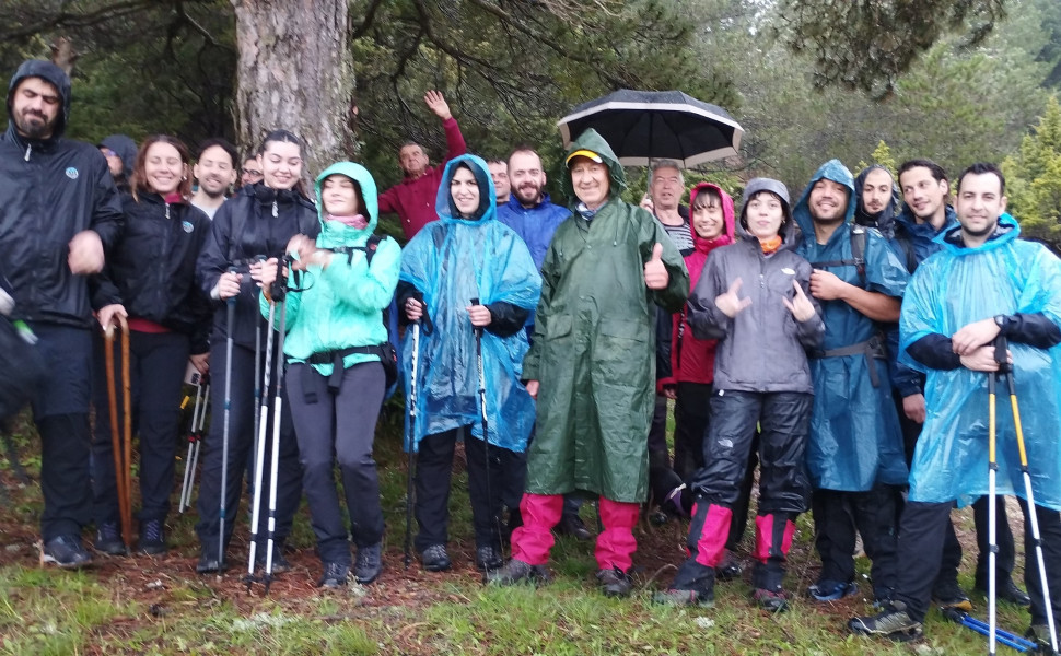 Δελτίο Τύπου