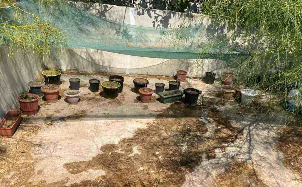 Δελτίο Τύπου