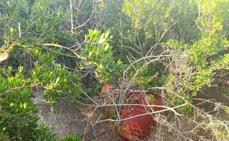 Δελτίο Τύπου