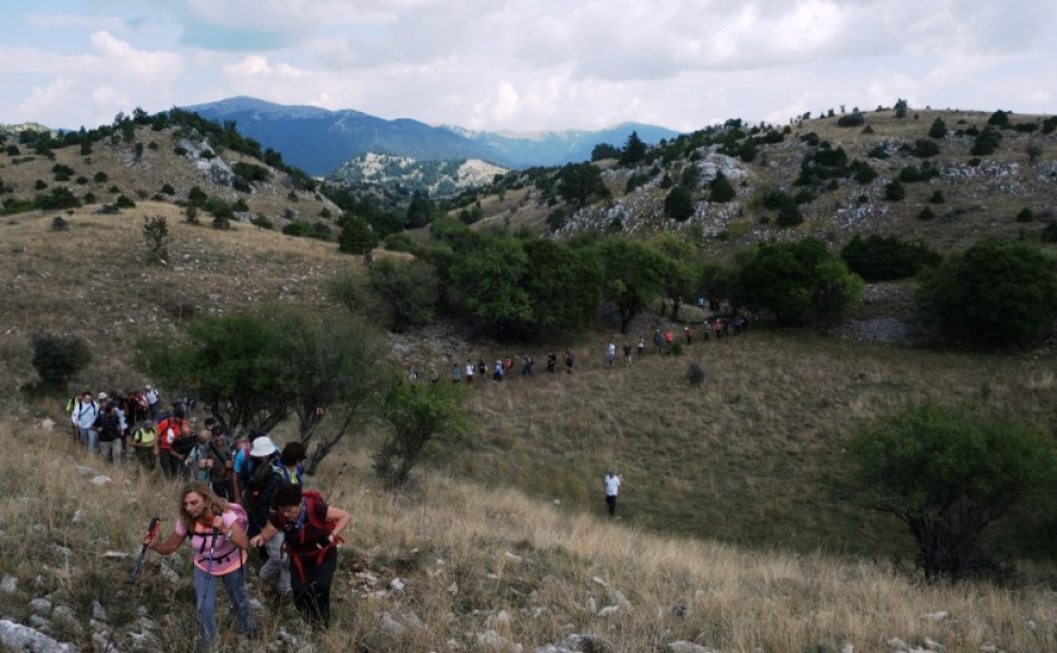 Δελτίο Τύπου
