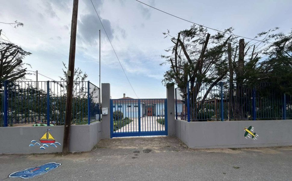 Δελτίο Τ΄ύπου